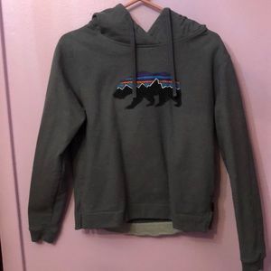 Patagonia blue sweatshirt